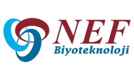 Nef Logo
